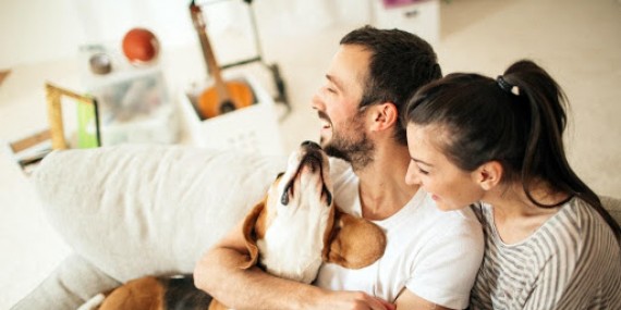 6 Most Popular Apartment Dog Breeds