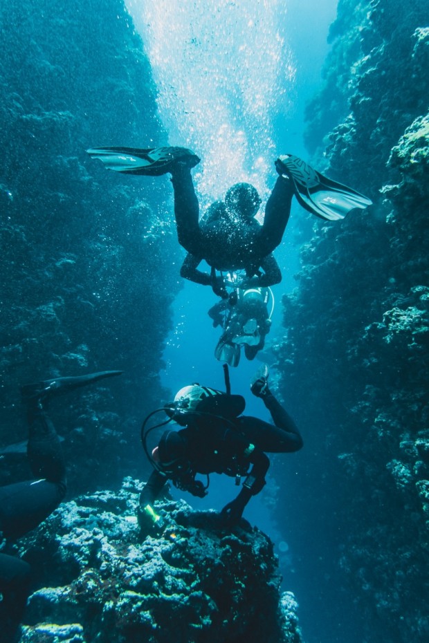 How To Become a Scuba Diving Pro 