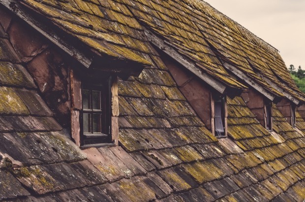 Five Tips for Keeping Your Home's Roof in Peak Condition