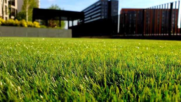Lawn Care Tips: Why Your Lawn is a Reflection of You and How to Care for It